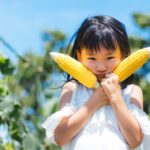 7月の季節の食養生　とうもろこし