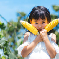 7月の季節の食養生 とうもろこし